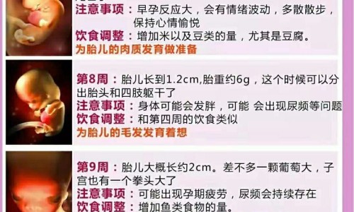 儿童营养米粉成分-专业婴儿营养米粉的功效与作用平台-小儿营养米粉配方