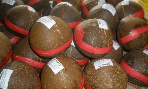 米粉的营养成分表100g-儿童营养米粉成分-专业婴儿营养米粉的功效与作用平台-小儿营养米粉配方