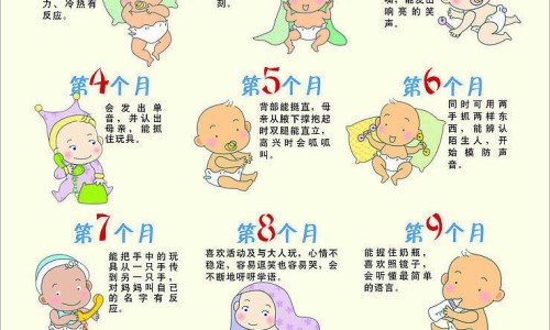 米粉的营养成分表100g-儿童营养米粉成分-专业婴儿营养米粉的功效与作用平台-小儿营养米粉配方
