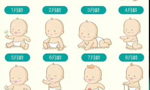 儿童营养米粉成分-专业婴儿营养米粉的功效与作用平台-小儿营养米粉配方